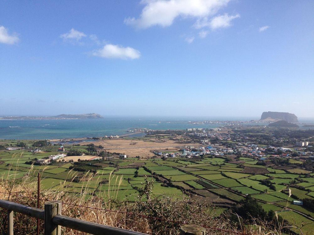 Clover B&B Seogwipo Bagian luar foto